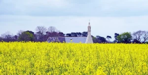 Chapelle Notre Dame de Grace Pluguffan