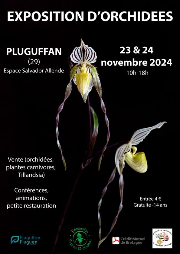 Affiche exposition d'orchidées 2024 01