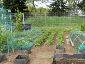 Jardins familiaux